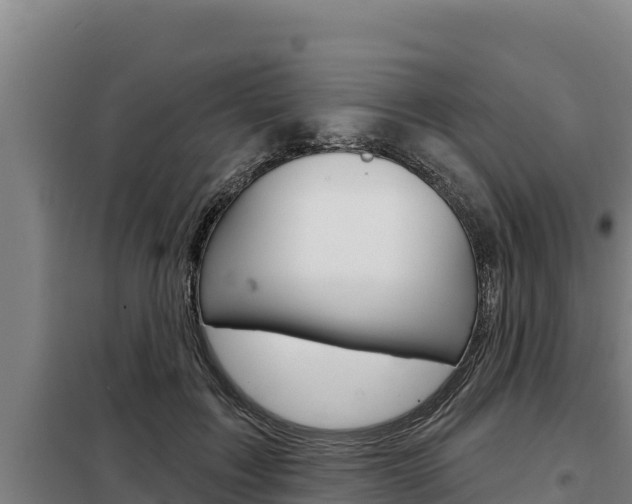 X0000098080603200804040753