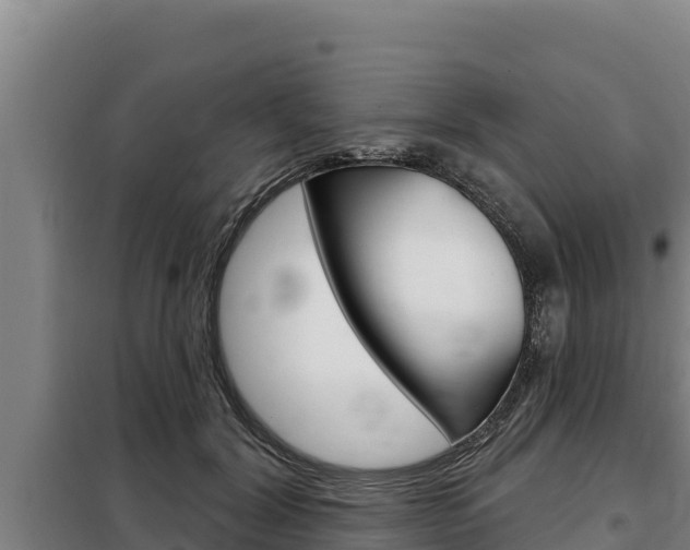 X0000098080604200804040753