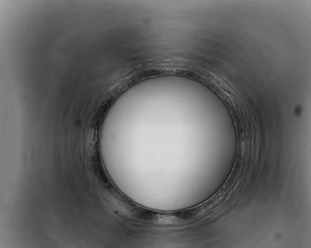 X0000098080605200804040753