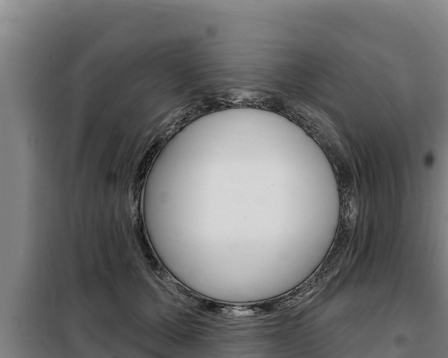 X0000098080607200804040753