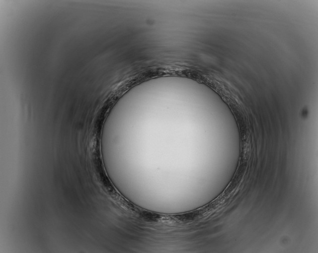 X0000098080608200804040753