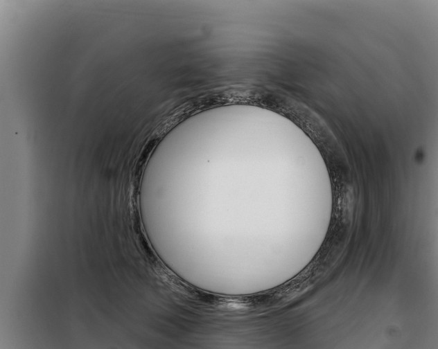 X0000098080610200804040753