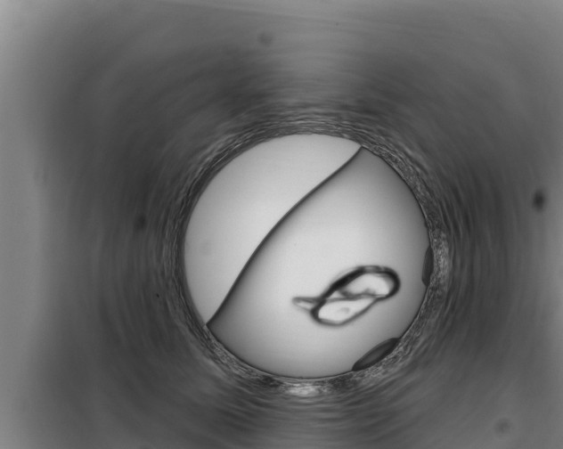 X0000098080611200804040753