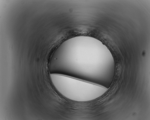 X0000098080612200804040753