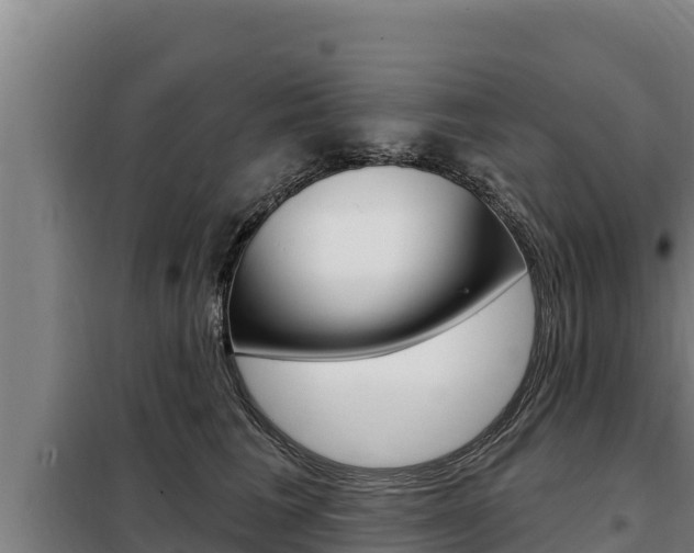 X0000098080613200804040753