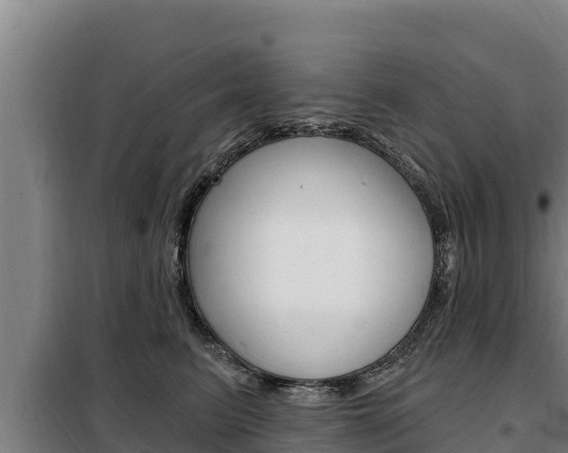 X0000098080615200804040753
