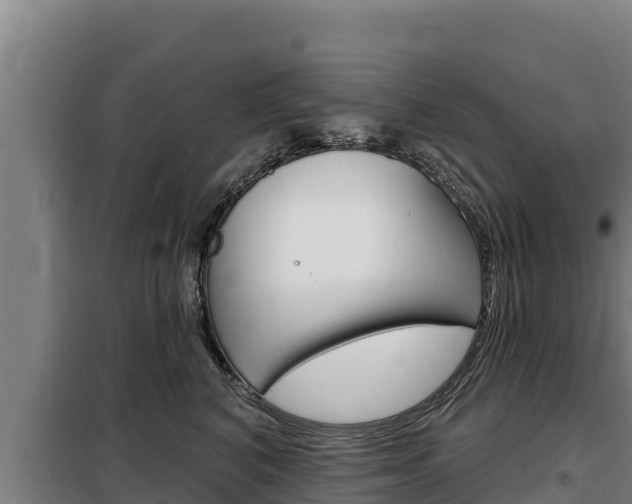X0000098080616200804040752