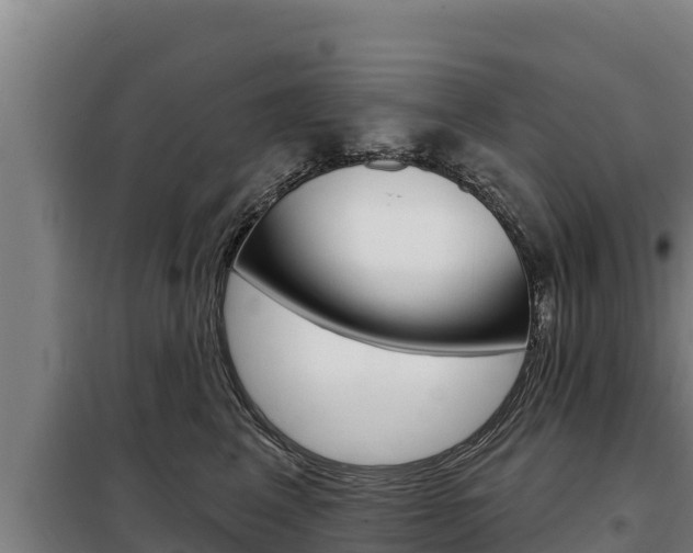 X0000098080617200804040752