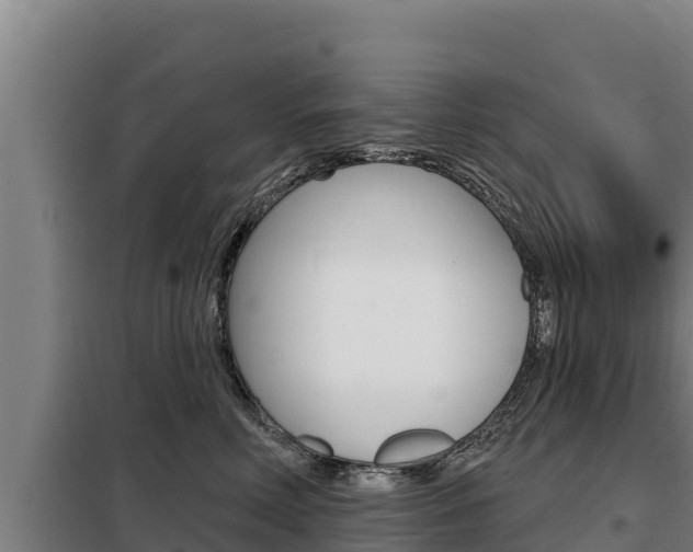 X0000098080618200804040752