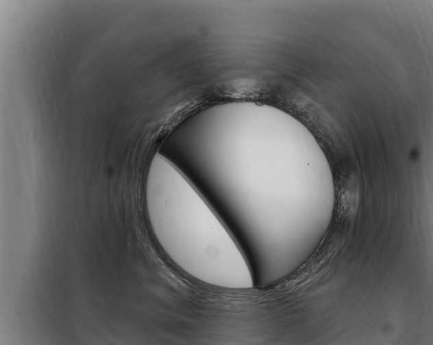 X0000098080620200804040752