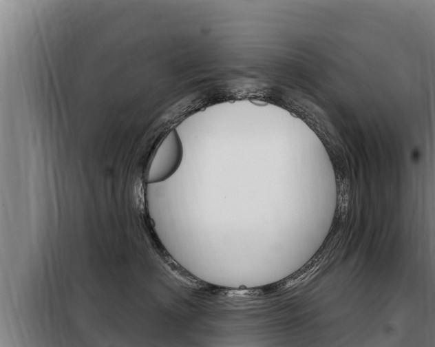 X0000098080622200804040752