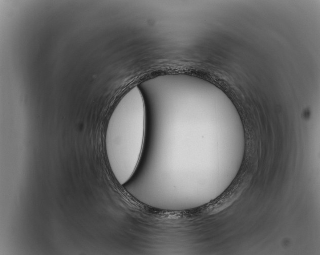 X0000098080624200804040752