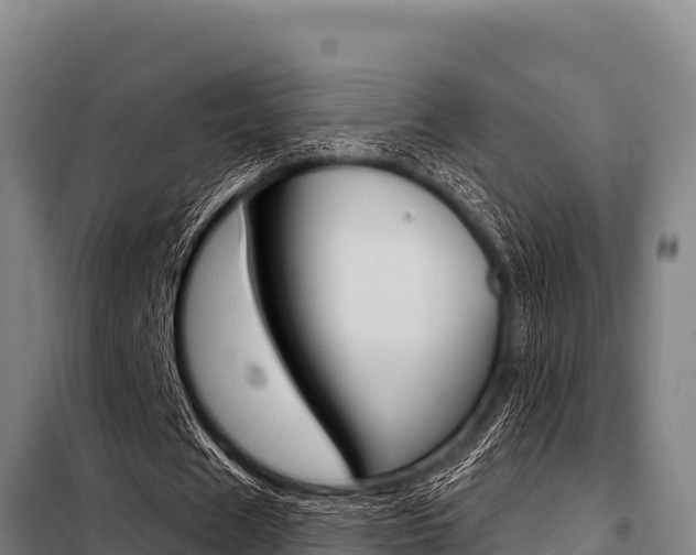 X0000098080625200804040752