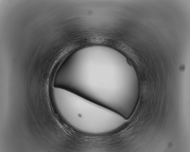 X0000098080626200804040752
