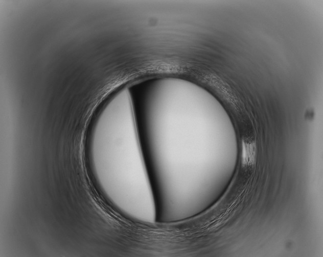 X0000098080627200804040752