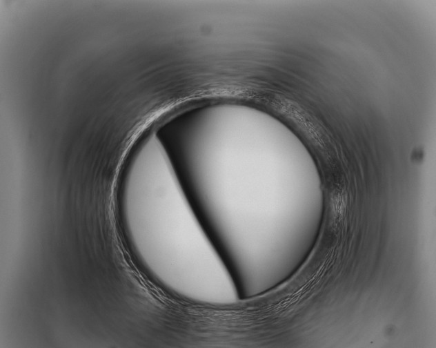 X0000098080628200804040752