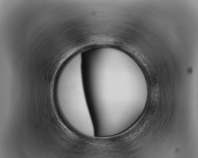 X0000098080629200804040752