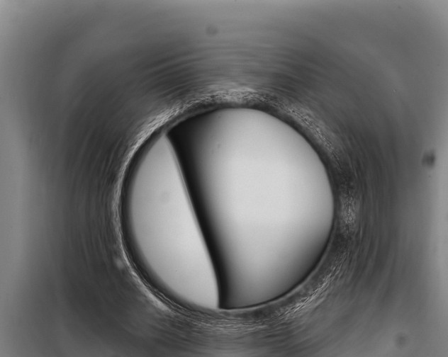 X0000098080630200804040752