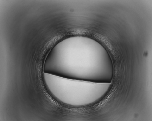 X0000098080633200804040752