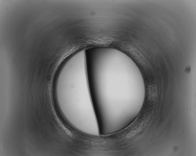 X0000098080634200804040752
