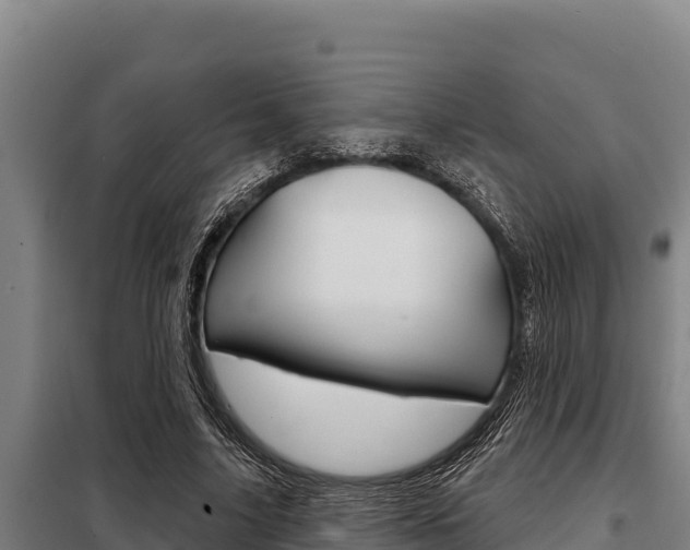 X0000098080635200804040752