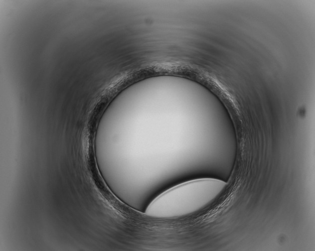 X0000098080637200804040752
