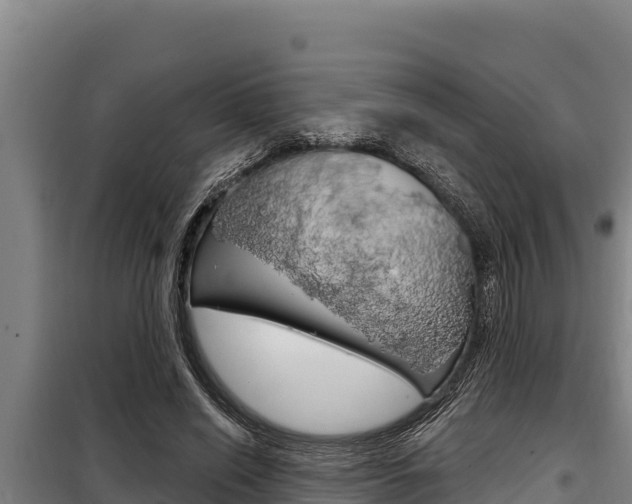 X0000098080638200804040752