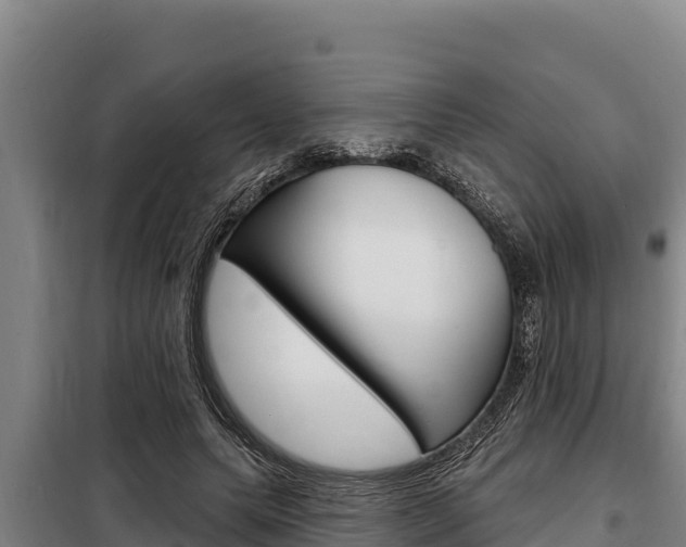 X0000098080639200804040752