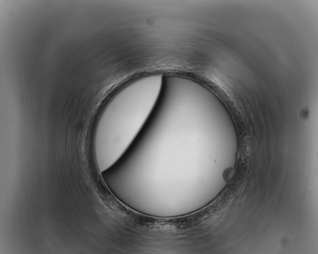 X0000098080640200804040752