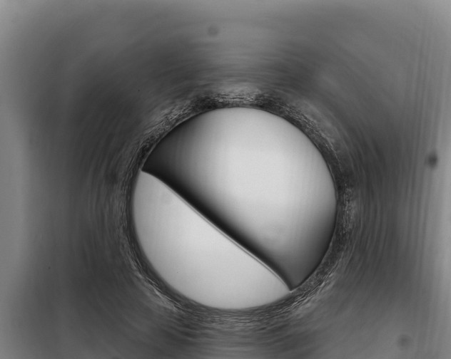 X0000098080641200804040752
