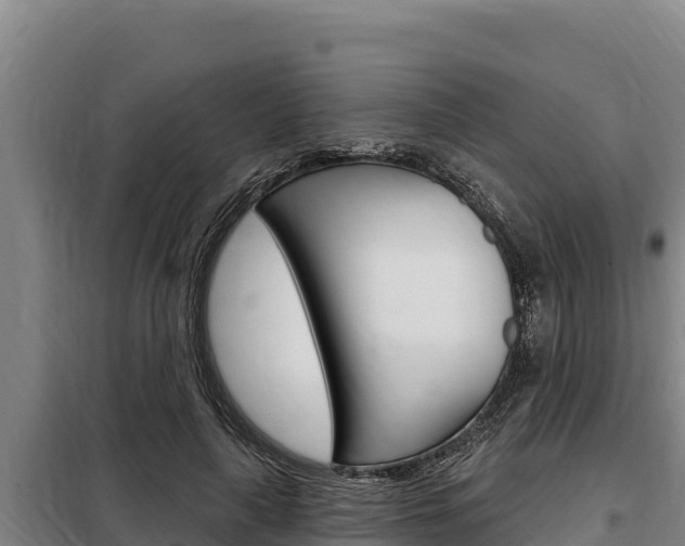 X0000098080643200804040752