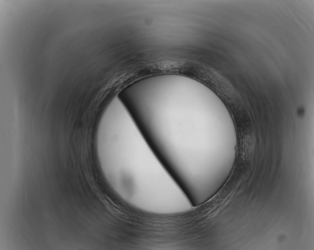 X0000098080644200804040752
