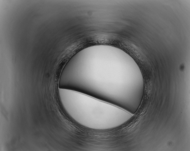 X0000098080645200804040752