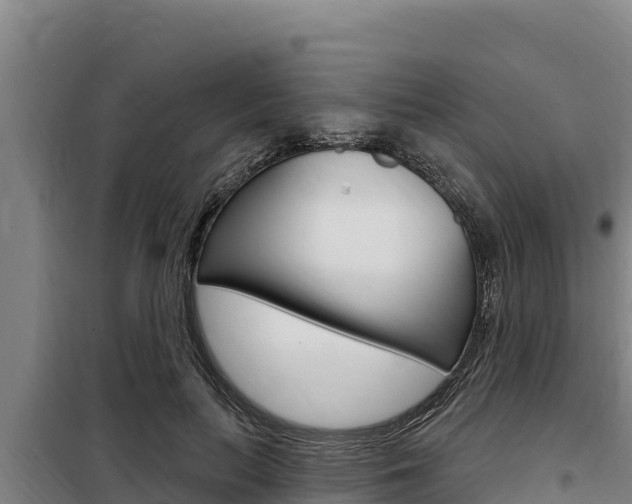 X0000098080647200804040752