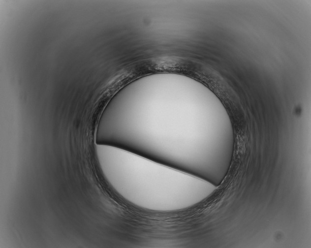 X0000098080648200804040752