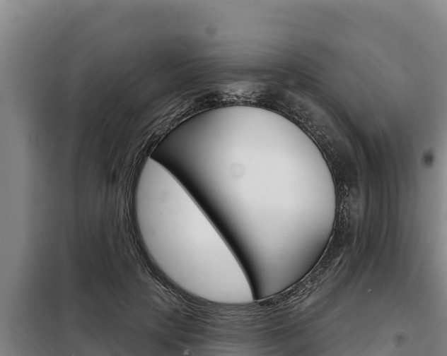 X0000098080649200804040752