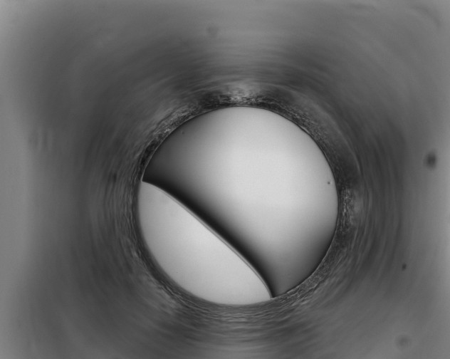 X0000098080650200804040752