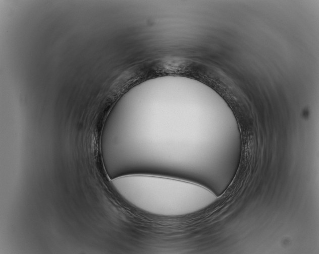 X0000098080651200804040752
