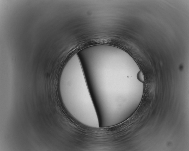 X0000098080652200804040752