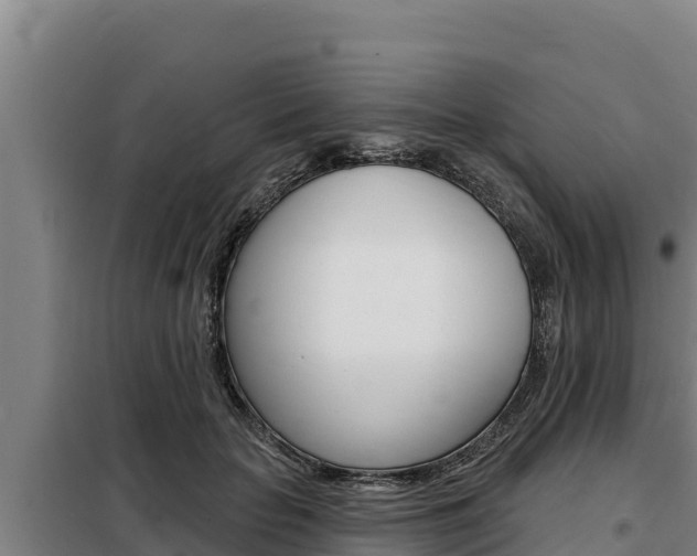 X0000098080653200804040752