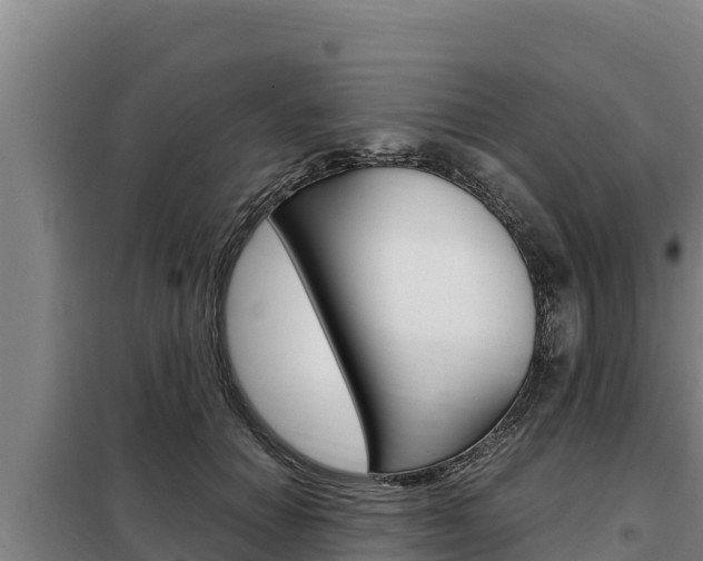 X0000098080654200804040752