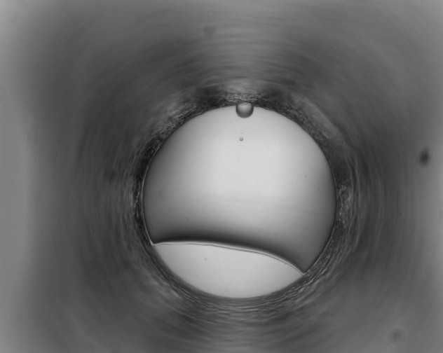 X0000098080655200804040752