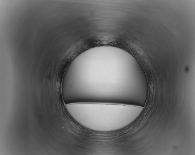 X0000098080657200804040752