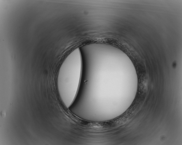 X0000098080658200804040752