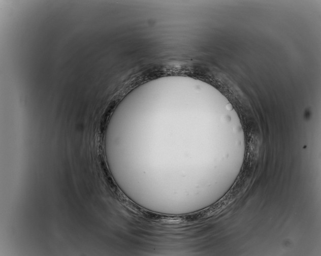 X0000098080659200804040752