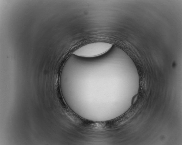 X0000098080660200804040752