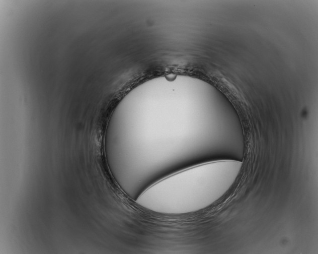 X0000098080661200804040752