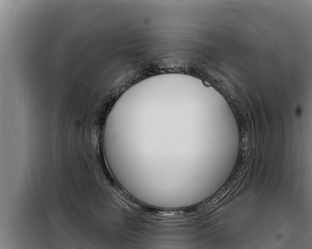 X0000098080662200804040752