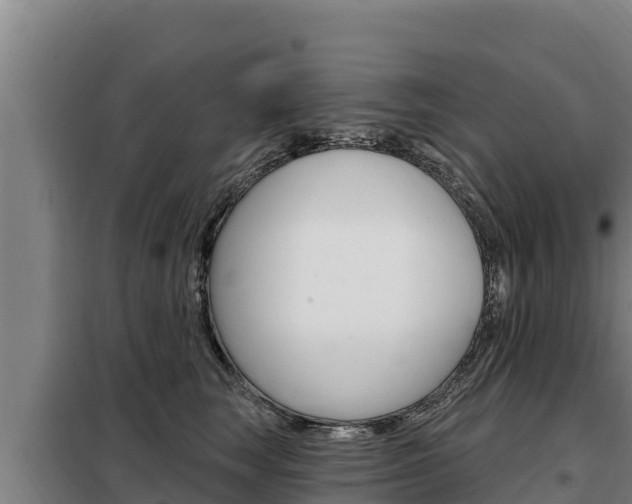 X0000098080663200804040752