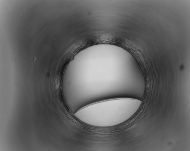X0000098080665200804040752